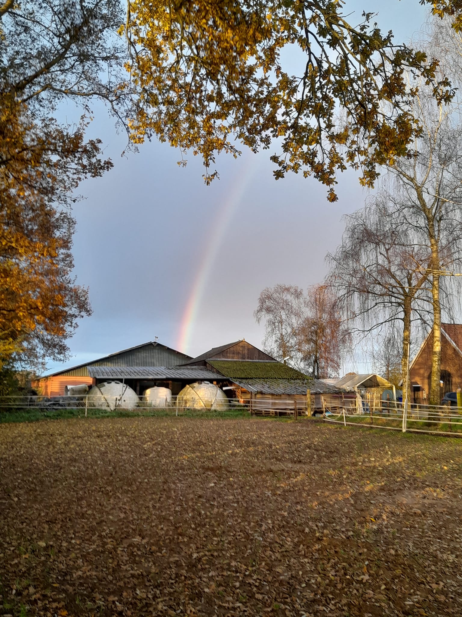 Vinden we een pot goud bij Lensink Aardappelen Aalten?